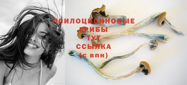 2c-b Алексин