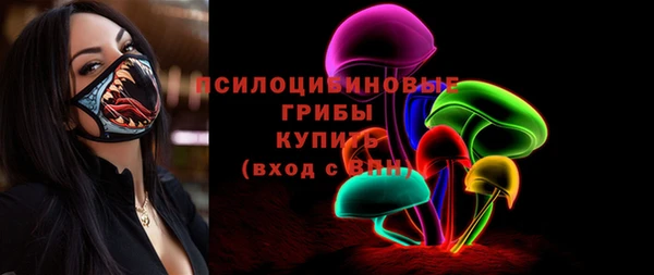 прущий лед Алзамай