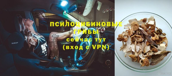прущий лед Алзамай
