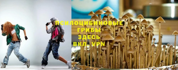мяу мяу мука Снежинск