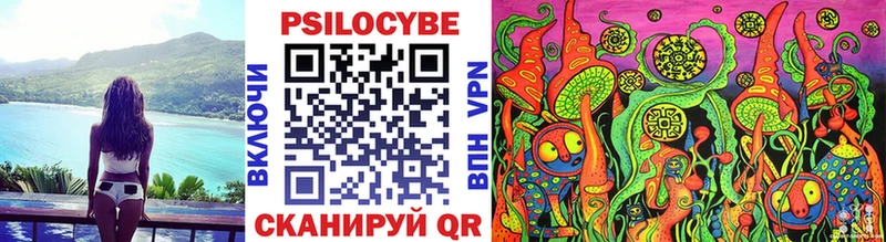 как найти   Заволжск  Галлюциногенные грибы ЛСД 