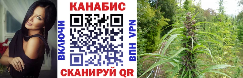 Марихуана планчик Заволжск
